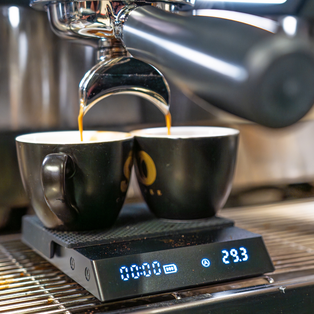 Master Your Sage (Home Barista Session)